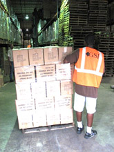 GSI Warehouse Worker With Pallet